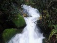 /album/paisagens/a482852-573283542696488-294079194-n-jpg/